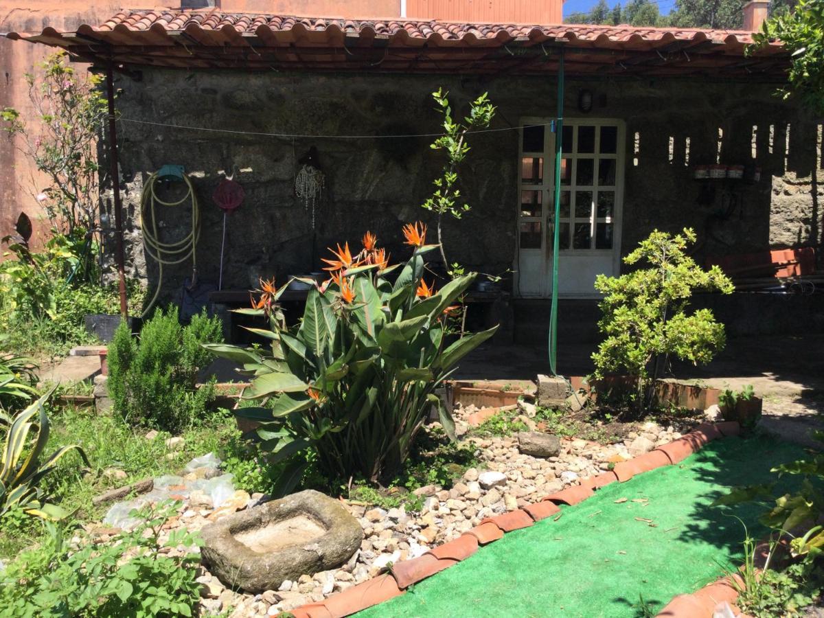 Apartamento Habitacion En A Armenteira Ideal Peregrinos Meis Exterior foto